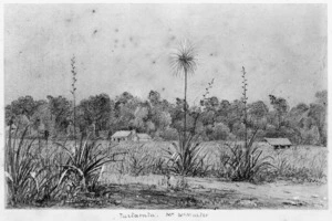 [Smith, William Mein] 1799-1869 :Tuitarata. Mr McMaster. [Angus McMaster's homestead at Tuhitarata, south Wairarapa. ca 1849]