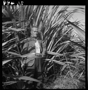 Flax bush and man, Foxton
