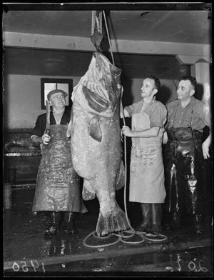 Men with 234-pound bass fish caught in Cook Strait, Wellington