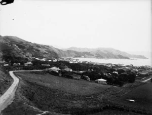 Looking over Seatoun, Wellington, from the Pass of Branda