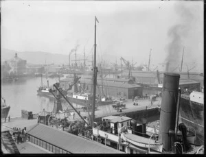 Queens Wharf, Wellington