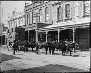 Hardy Street, Nelson