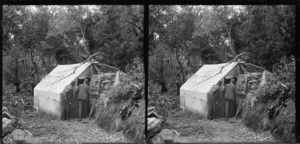 Deserted hut, Waitati Bush, Dunedin