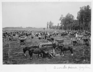 Carriages of picnic goers, Greytown, Wairarapa, Wellington region