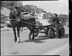 Milk delivery man with his horse and cart, Wellington - Photograph taken by W Wilson