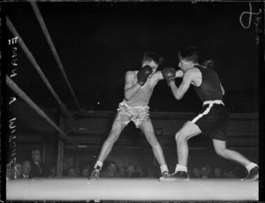 Ewan versus Mitchell boxing match