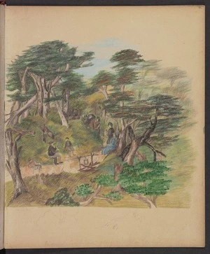 [Thomas, E. A. C.] b. 1825 :Mount Arthur from table land. [1878-1879]
