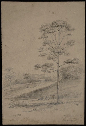 Swainson, William, 1789-1855 :My cottage from the valley. Dandenong Police Station. 25 July 1853.