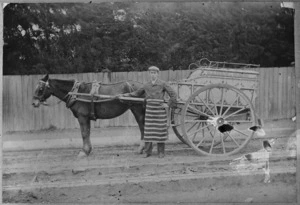 Robert Edward Haines, a butcher of Haines & Sons, with horse-drawn cart