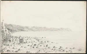Pharazyn, Edward de C 1810-1879? :Tautau Valley near Cape Turnagain. 1853.