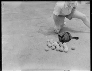 Cat that collects tennis balls