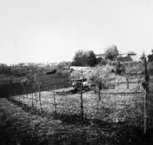 Military tank in a field, during World War II, Italy
