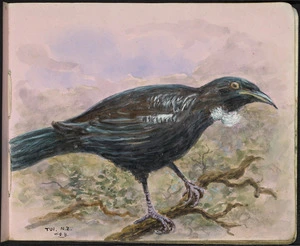 Baker, William George, 1864-1929 :Tui, N.Z. [1920-1925]