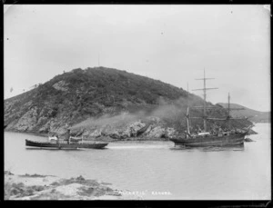 Sailing ship Alcestis being towed from rocks where she had run aground, Otago Harbour.
