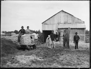 Flax workers, Lake Ohia, Northland region