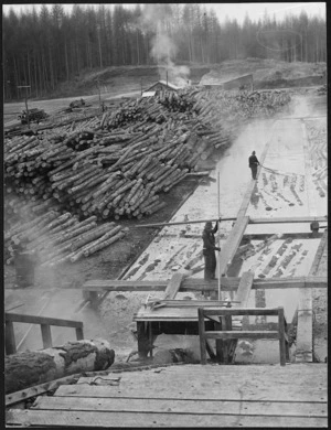 Creator unknown : Photograph of pinus radiata logs being processed at the Waipa State sawmill, Rotorua