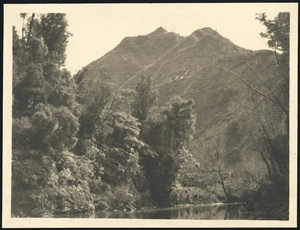 View of the Mokau River