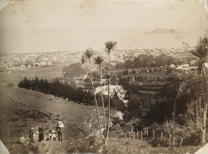 View of Petone from above Sir James Hector's house, Ratanui