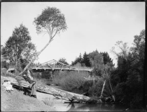 Bridge on river near Mauriceville