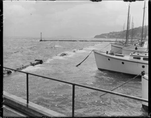 Boat harbour at Oriental Bay