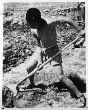 Student digging, Shandan school, Gansu, China