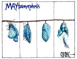 Maytamorphosis