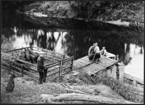 Loading pigs on to a boat, Mokau River