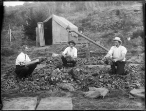 Bradley brothers cleaning gum, near Houhora