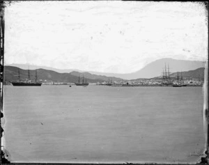 Wellington Harbour and Te Aro