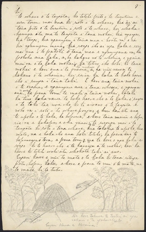 Manuscript page including sketch of kaka snaring technique