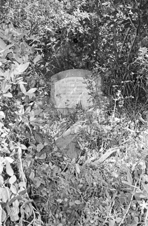 Grave of Caroline E Burton, plot 115.C, Sydney Street Cemetery.