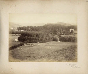 View of Cheviot Hills Station, North Canterbury