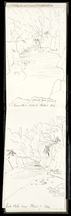 Crawford, James Coutts, 1817-1889 :Koaraite a Otaki River. April 4 1863.