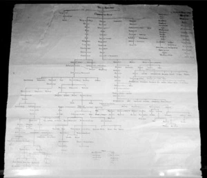 Ngati Kahungunu genealogical chart