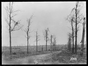 The Wulverghem Road looking towards Messines, World War I