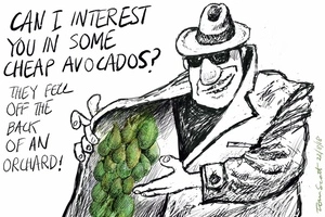 Avocado theft