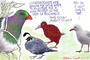 "Conservationists are calling for native birds to volunteer for an 1080 protest on the steps of Parliament"