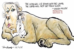 The Lion and the Lamb: Judith Collins and Simon Bridges