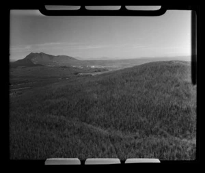 Afforestation fire, Taupo