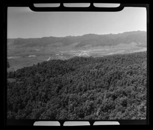 Henderson and Pollard forestry, Te Whaiti, Whakatane District