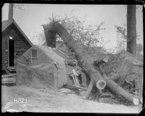 A shelled tree collapsed on the soldiers' hut, World War I
