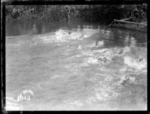 A race in progress at the New Zealand Division water sports, World War I