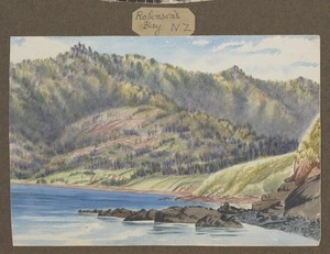 Hurt, Theodore Octavius fl 1860-1871 :Robinson's Bay, N.Z. [1869?].