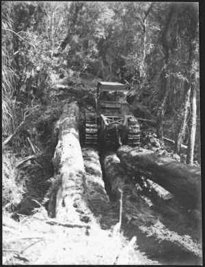 Tractor dragging logs