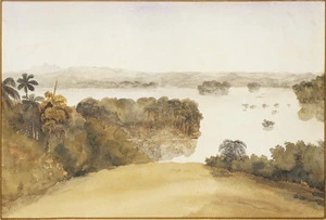 Weld, Frederick Aloysius 1823-1891 :From Waka Walla bungalow, Ceylon. Adams Peak in distance, flooded paddy fields / Fred A Weld pinx. 1857