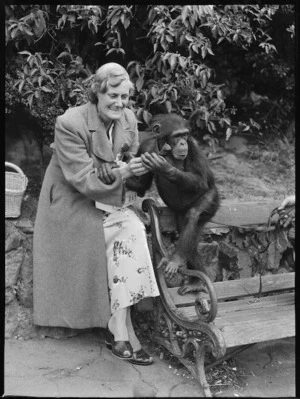 A chimpanzee from Wellington Zoo buying a poppy from RSA collector K M Bennett, in Newtown, Wellington