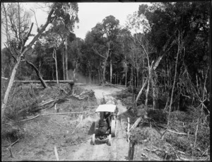 Traction engine hauling logs, Northland