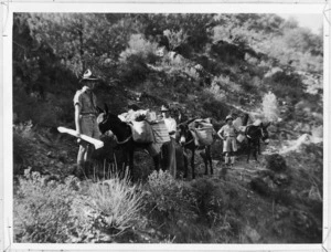 Members of the 36th New Zealand Survey Battery following a mountain track in Cyprus, during World War II - Photograph taken by Major J B Stevens-Jordan