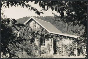 View of house, Mokau