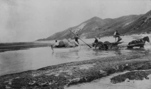 Loading wool for shipment at Pourerere, Hawke's Bay - Photographer unidentified